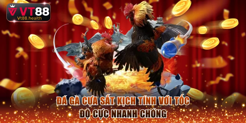 Đá gà cựa sắt kịch tính với tốc độ cực nhanh chóng