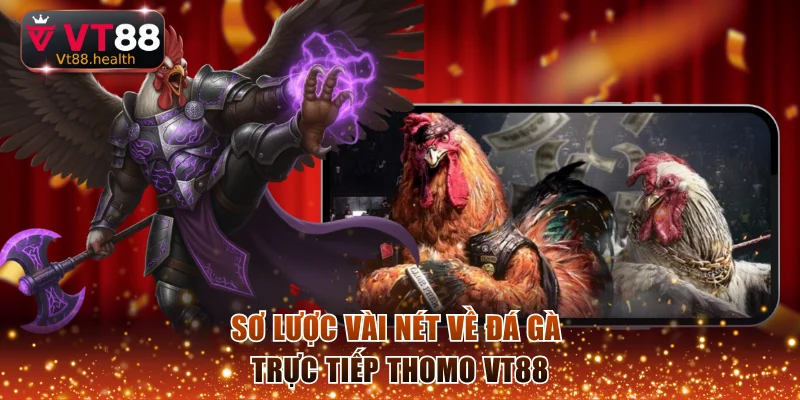 Sơ lược vài nét về đá gà trực tiếp Thomo VT88