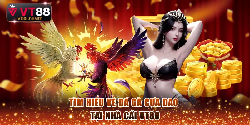 Tìm hiểu về đá gà cựa dao tại nhà cái VT88